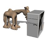 computer_camel_bug_bonk_mw.gif
