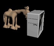 computer_camel_bug_bonk_mc.gif