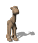camel_stand_sw.gif