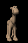 camel_stand_sb.gif