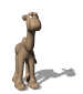 camel_stand_mw.gif