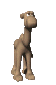 camel_stand_mc.gif