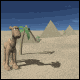 camel_spitting_sw.gif