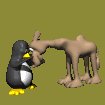camel_pet_sc.gif