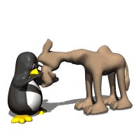camel_pet_lw.gif