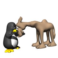 camel_pet_hr.jpg
