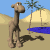 camel_desert_sw.gif