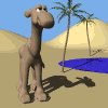 camel_desert_mw.gif