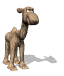 camel_cool_sw.gif