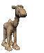 camel_cool_sc.gif