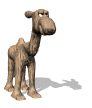 camel_cool_mw.gif