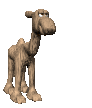 camel_cool_mc.gif