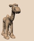 camel_cool_lc.gif