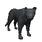 panther_looking_sc.gif