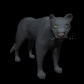 panther_looking_sb.gif
