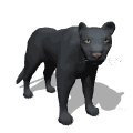 panther_looking_mw.gif