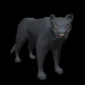 panther_looking_mc.gif