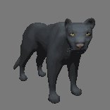 panther_looking_lc.gif
