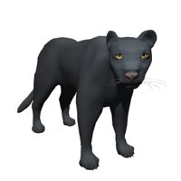 panther_looking_hr.jpg