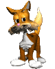kitty_shy_lc.gif