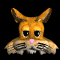 kitty_cat_head_blink_sb.gif