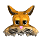 kitty_cat_head_blink_mc.gif