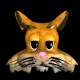 kitty_cat_head_blink_mb.gif