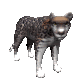 jaguar_looking_sc.gif