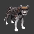 jaguar_looking_mc.gif