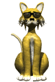 cool_cat_sunglasses_mw.gif
