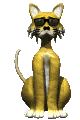 cool_cat_sunglasses_mc.gif