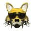 cool_cat_shades_mw.gif
