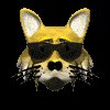 cool_cat_shades_lc.gif