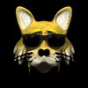 cool_cat_shades_lb.gif