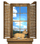 cat_window_mw.gif