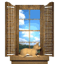 cat_window_mc.gif