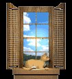 cat_window_lc.gif