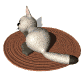 cat_suprised_sw.gif