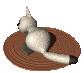 cat_suprised_sc.gif