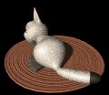 cat_suprised_mb.gif