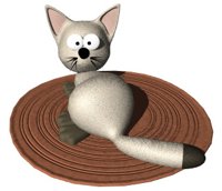 cat_lying_down.jpg