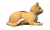 cat_liedown_sw.gif