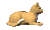 cat_liedown_sc.gif
