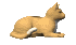 cat_liedown_mc.gif
