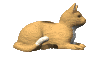 cat_liedown_lc.gif