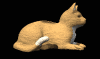cat_liedown_lb.gif