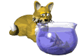 cat_fishing_mw.gif