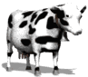 milk_cow_looking_mw.gif