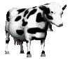 milk_cow_looking_mc.gif