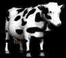 milk_cow_looking_lb.gif